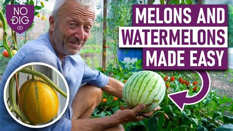 melonsyube|Free Melons Tube Porn Videos